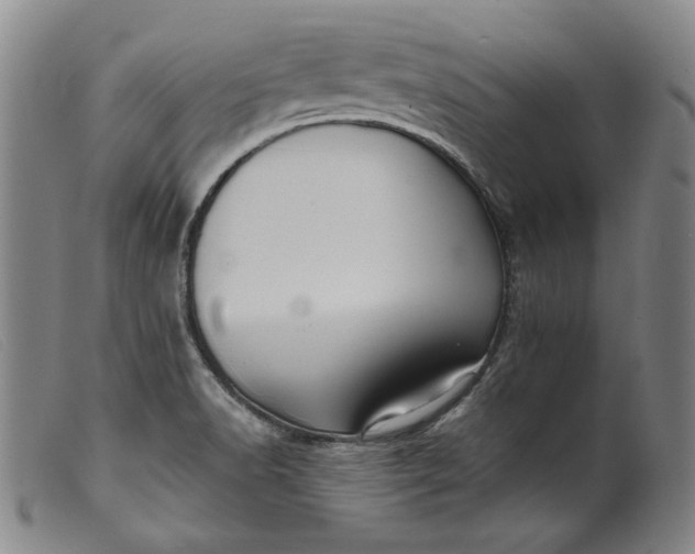 X0000099431518200805231641