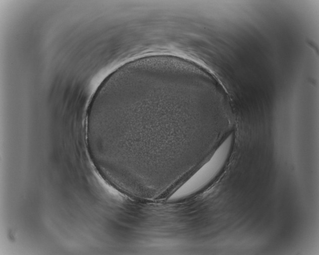 X0000099431519200805231641