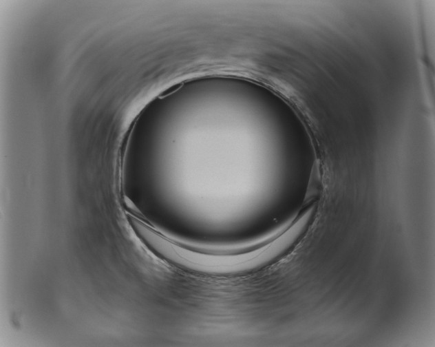 X0000099431520200805231641