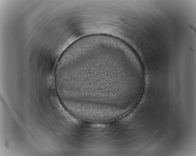 X0000099431521200805231641