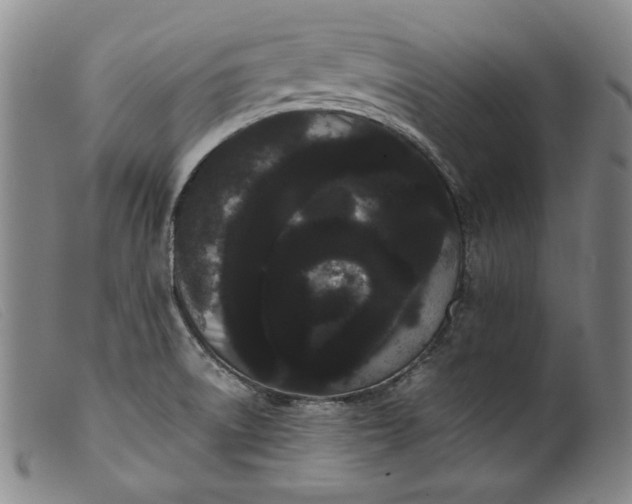 X0000099431522200805231641