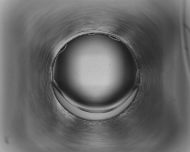 X0000099431524200805231641