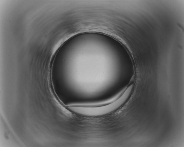 X0000099431525200805231641
