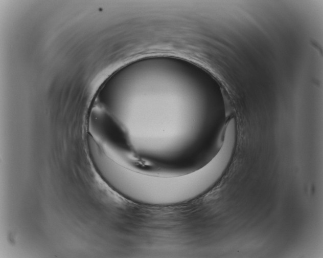 X0000099431527200805231641