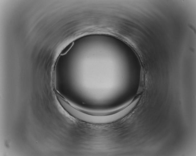 X0000099431528200805231641