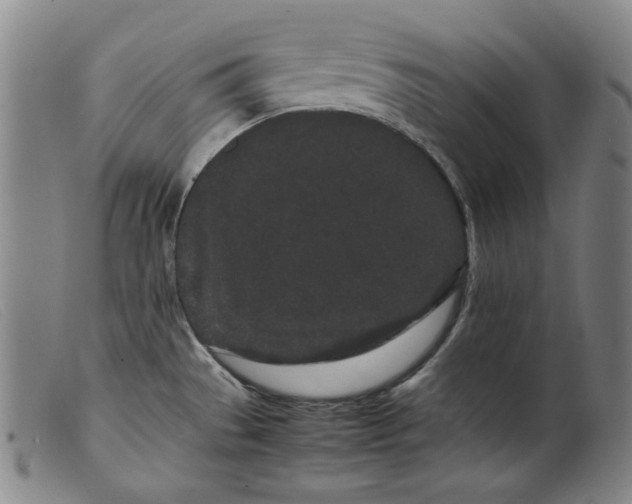X0000099431529200805231641