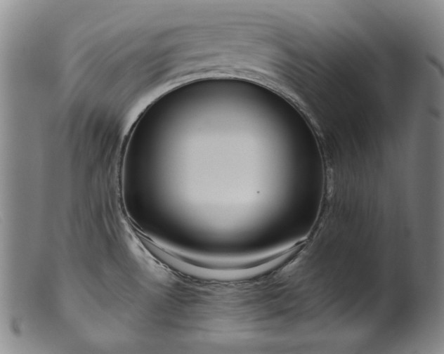 X0000099431530200805231641