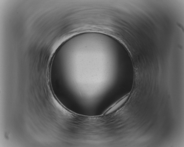 X0000099431531200805231641