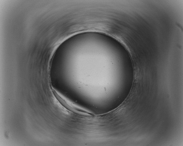 X0000099431532200805231641
