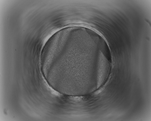 X0000099431533200805231641