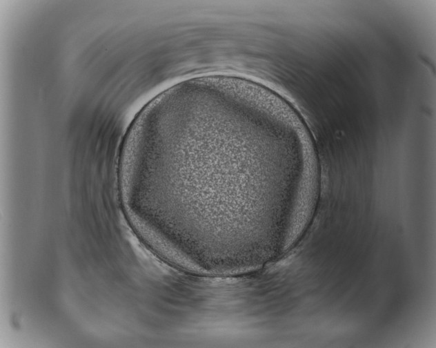 X0000099431534200805231641