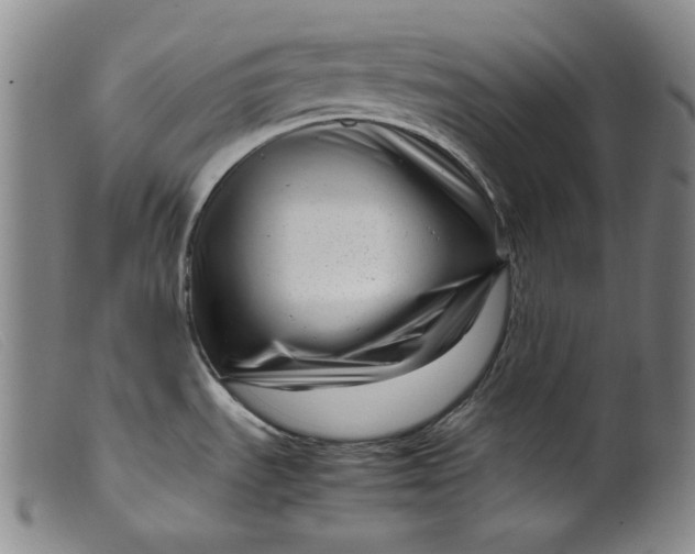 X0000099431535200805231641