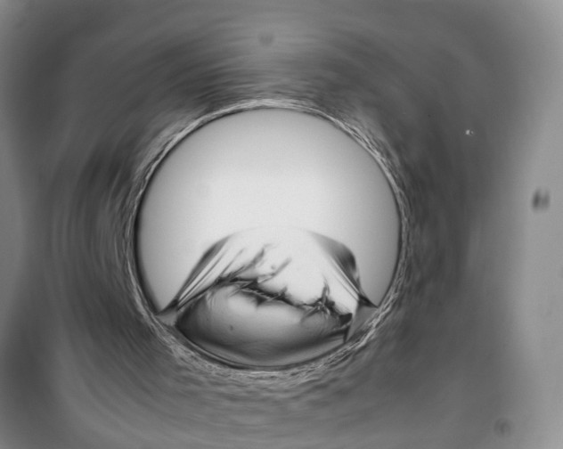 X0000099430001200805301439