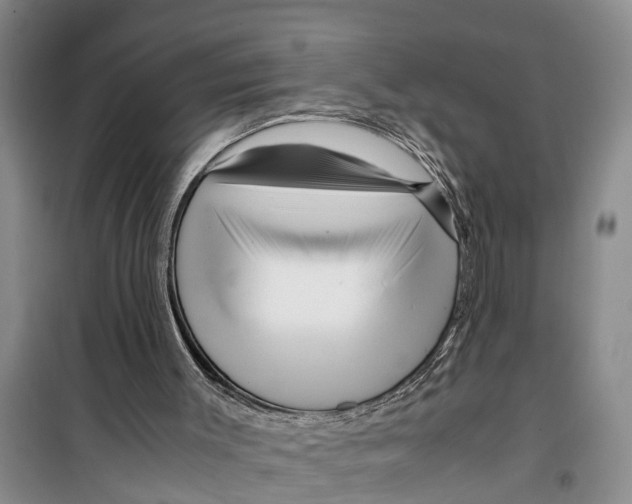 X0000099430003200805301439