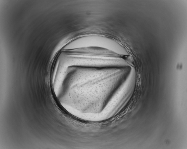 X0000099430004200805301439