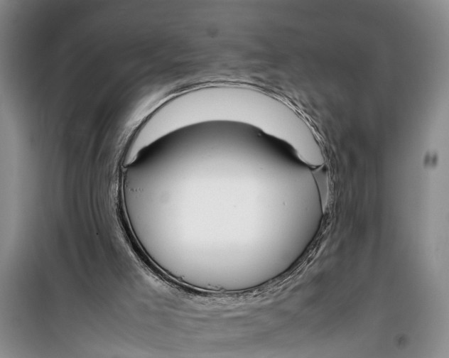 X0000099430005200805301439