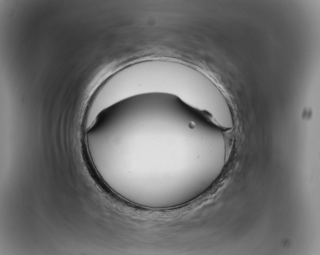 X0000099430007200805301439