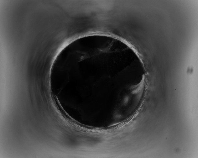 X0000099430008200805301439