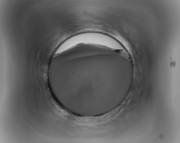 X0000099430009200805301439