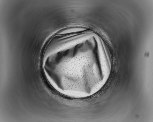 X0000099430012200805301439