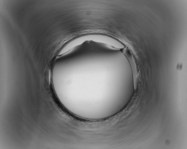 X0000099430013200805301439