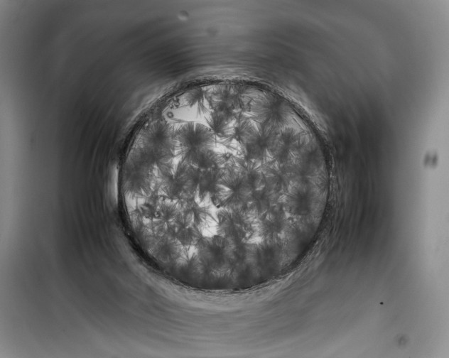 X0000099430014200805301439