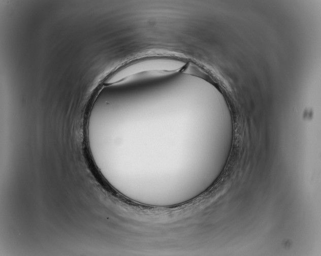 X0000099430015200805301439