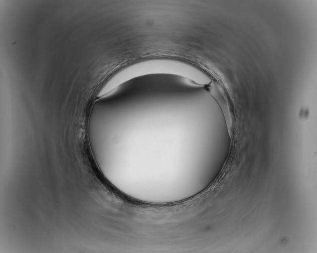 X0000099430017200805301439