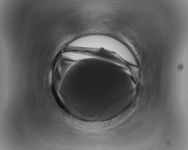 X0000099430019200805301439