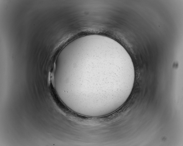 X0000099430020200805301439