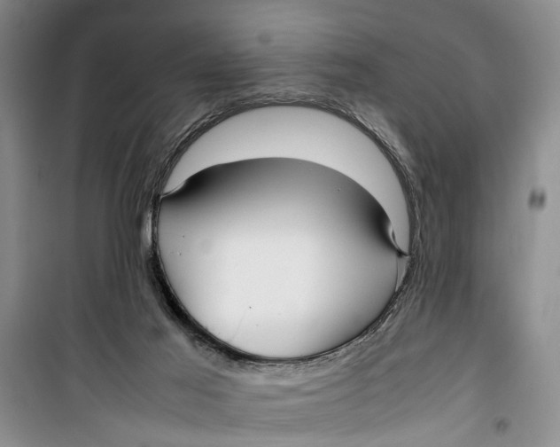 X0000099430021200805301439