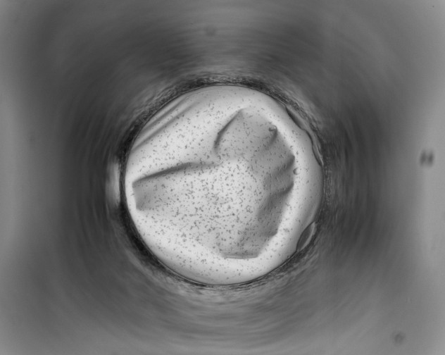 X0000099430022200805301439