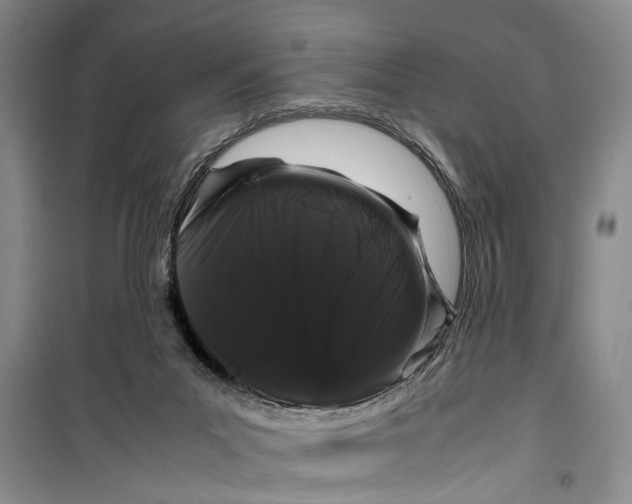 X0000099430023200805301439