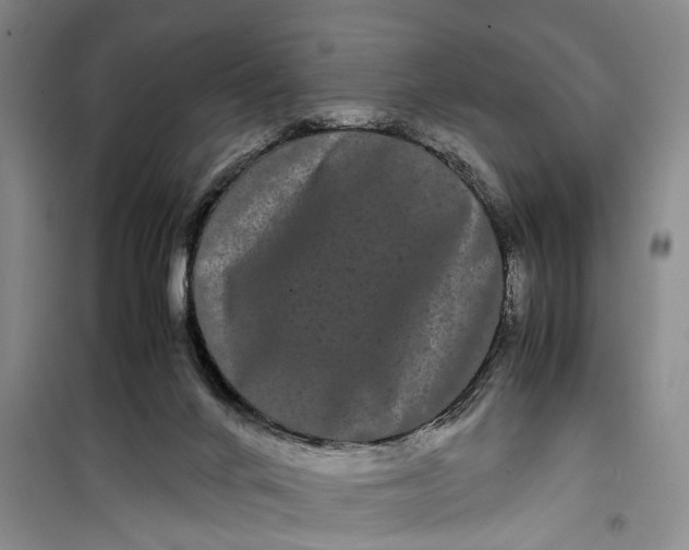 X0000099430024200805301439