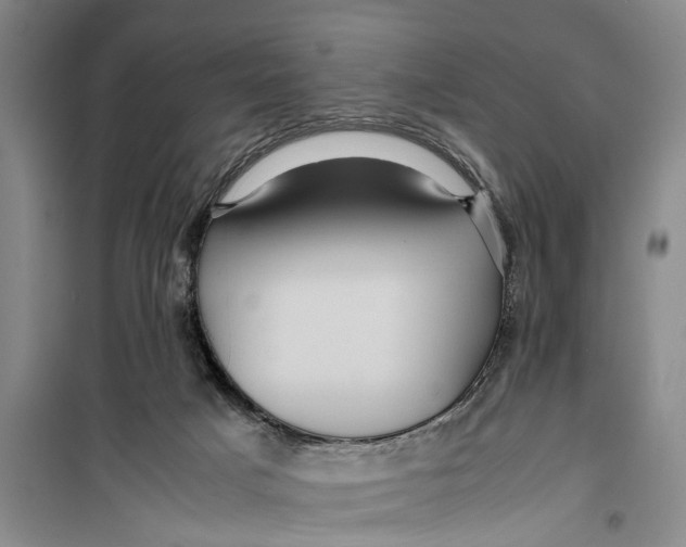 X0000099430025200805301439