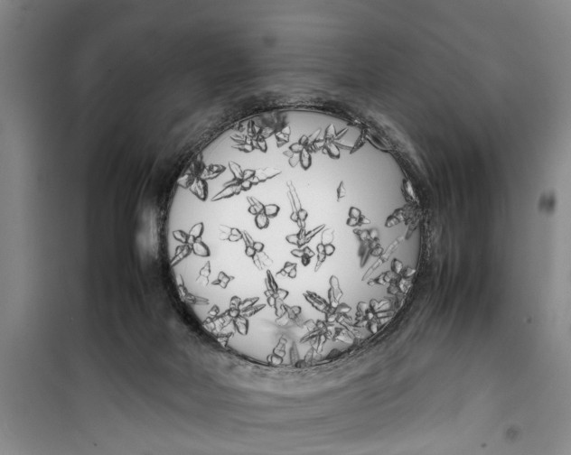 X0000099430026200805301439