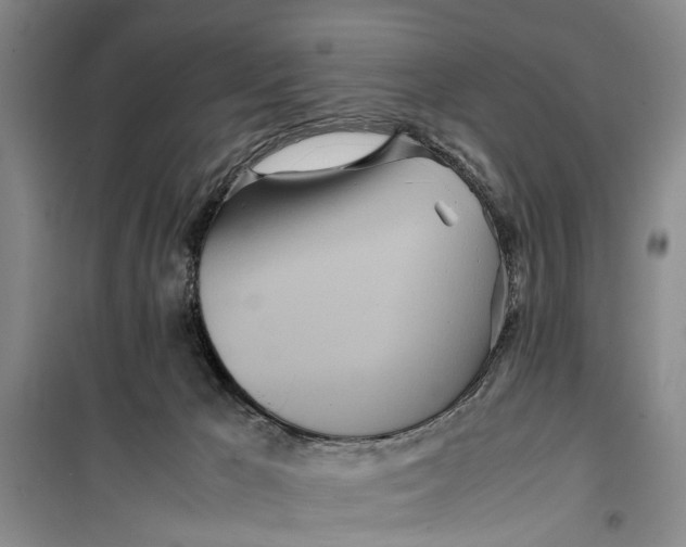 X0000099430029200805301439