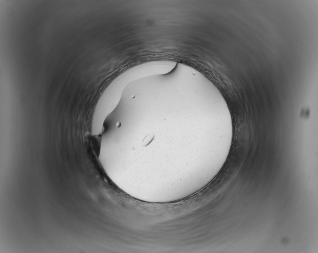 X0000099430030200805301438