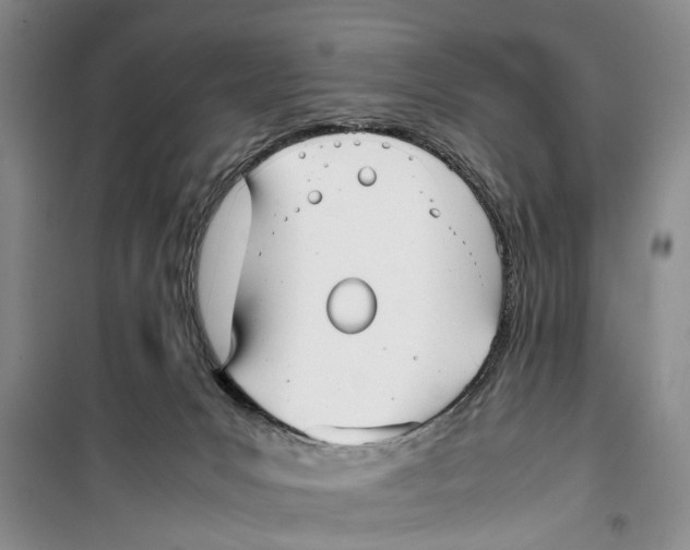 X0000099430031200805301438