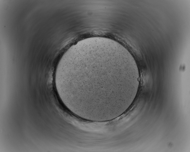 X0000099430032200805301438