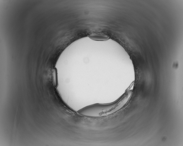 X0000099430033200805301438