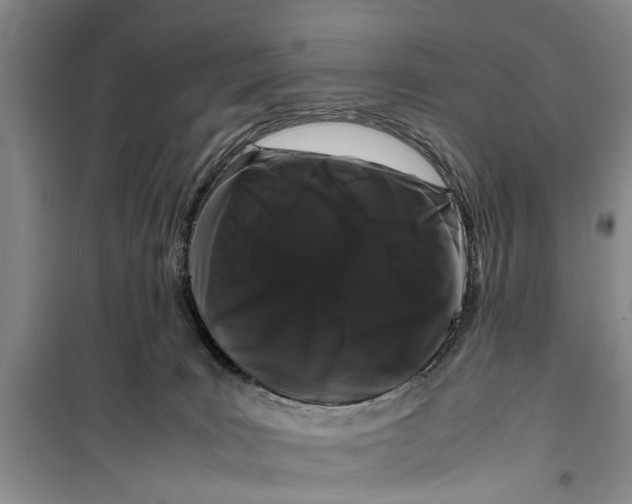 X0000099430035200805301438