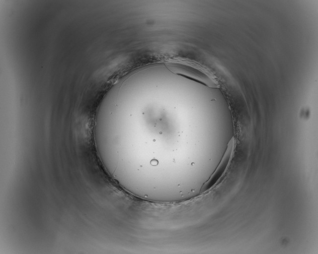 X0000099430037200805301438