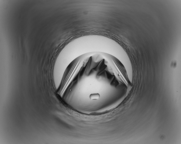 X0000099430039200805301438