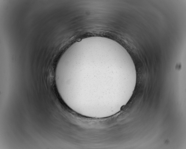 X0000099430040200805301438