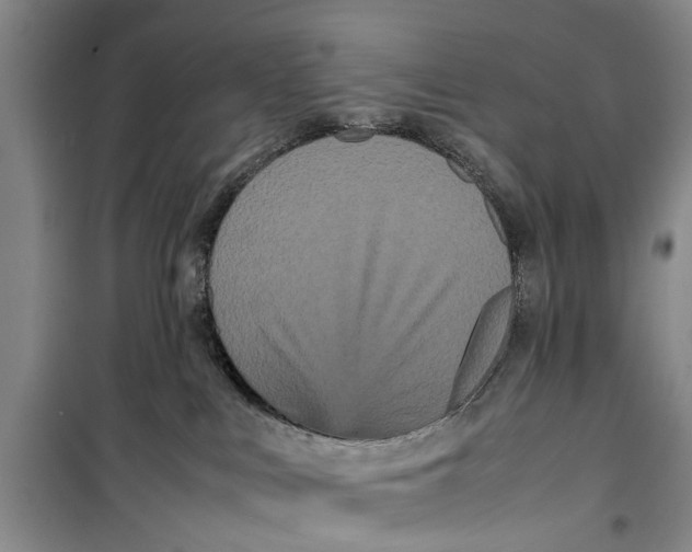 X0000099430043200805301438