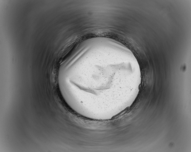 X0000099430044200805301438