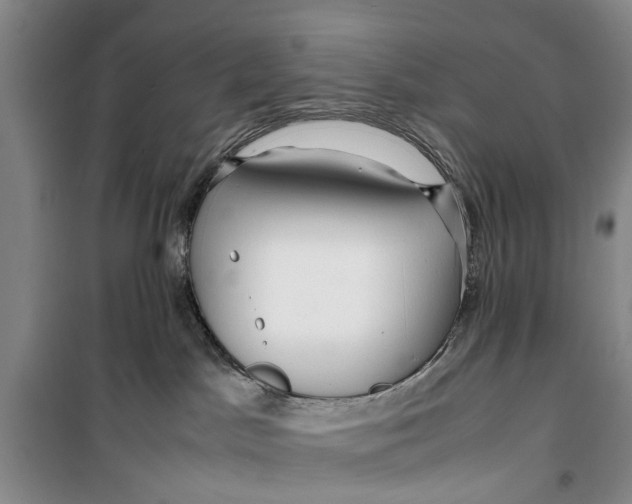 X0000099430045200805301438