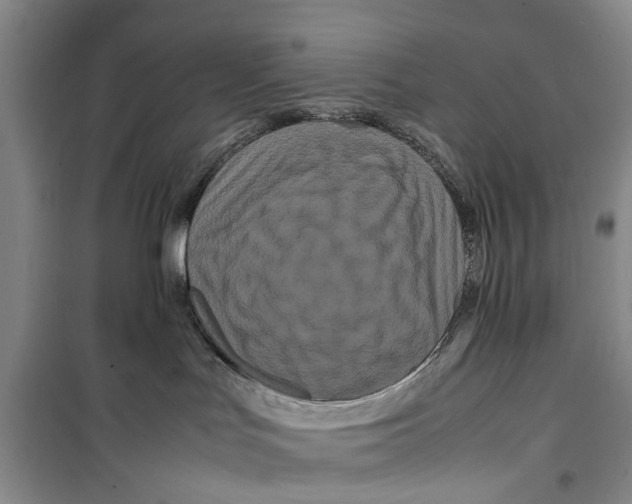 X0000099430047200805301438