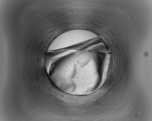 X0000099430048200805301438